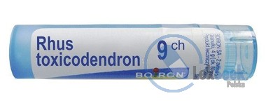 opakowanie-Rhus Toxicodendron