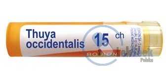 opakowanie-Thuya Occidentalis