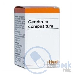 opakowanie-Cerebrum compositum