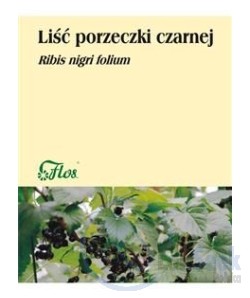 opakowanie-Liść Porzeczki czarnej